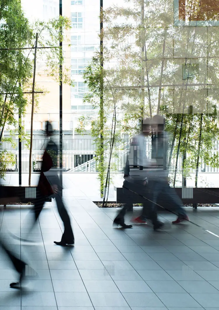 Sustainability Commitment Background